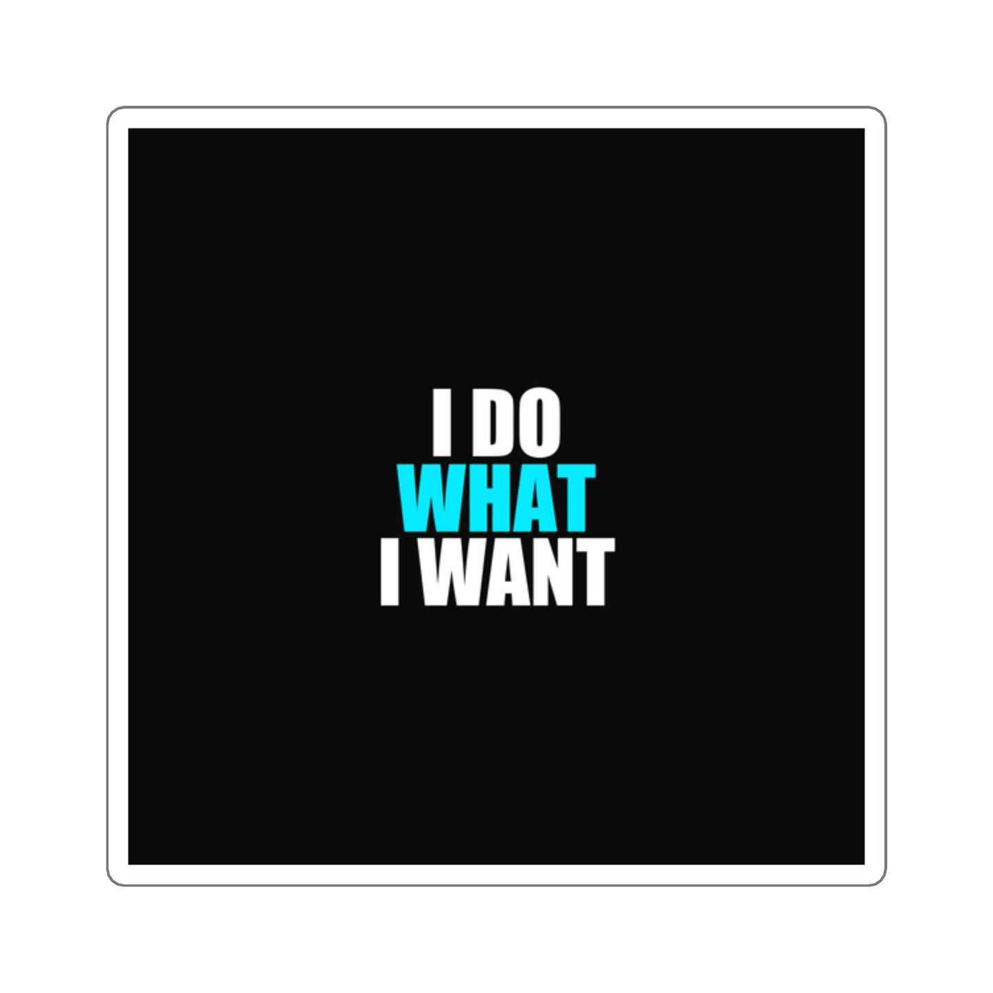 I Do What I Want Cat Sticker - dark humor sticker - front view | Stoney Tshirts