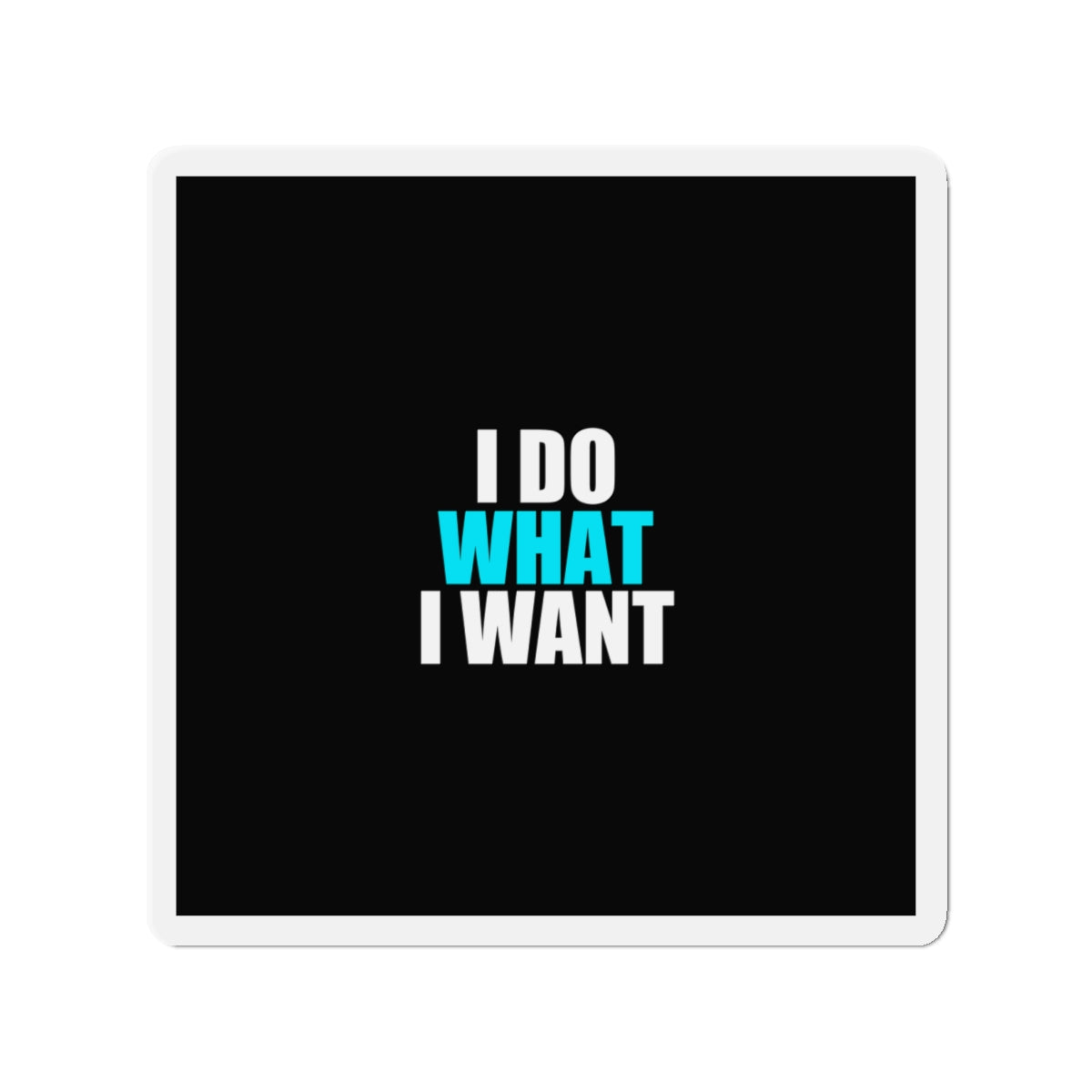 I Do What I Want Cat Magnet - dark humor fridge magnet - lifestyle mockup | Stoney Tshirts