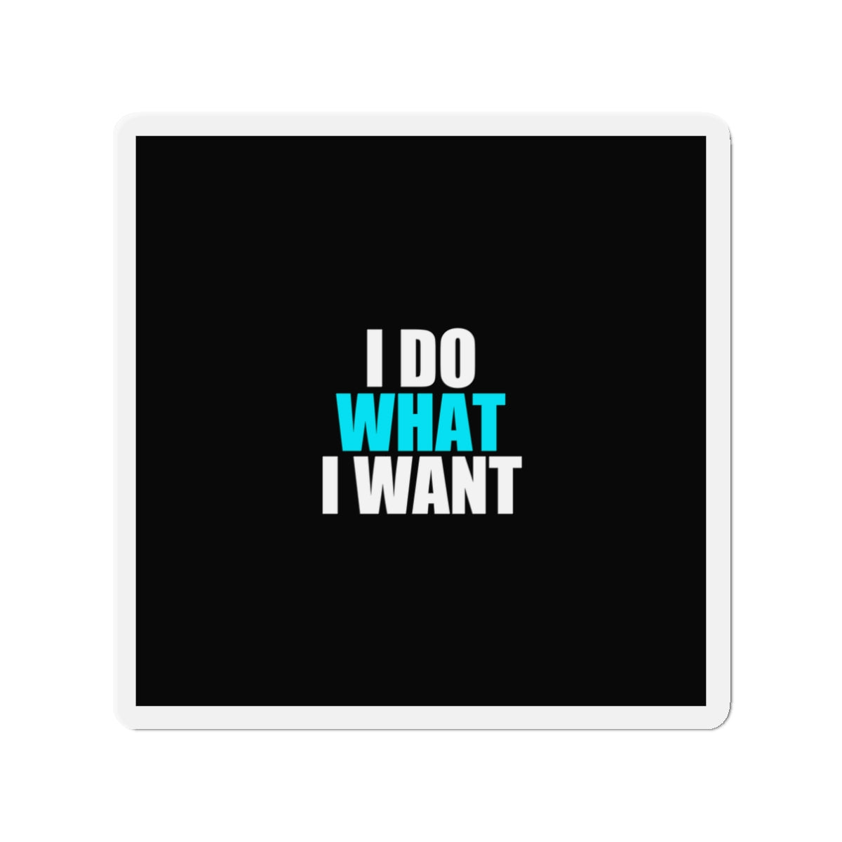 I Do What I Want Cat Magnet - dark humor fridge magnet - detail view | Stoney Tshirts
