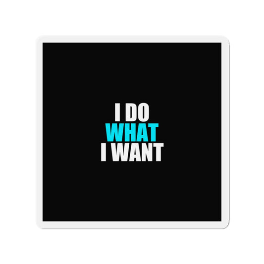 I Do What I Want Cat Magnet - dark humor fridge magnet - detail view | Stoney Tshirts