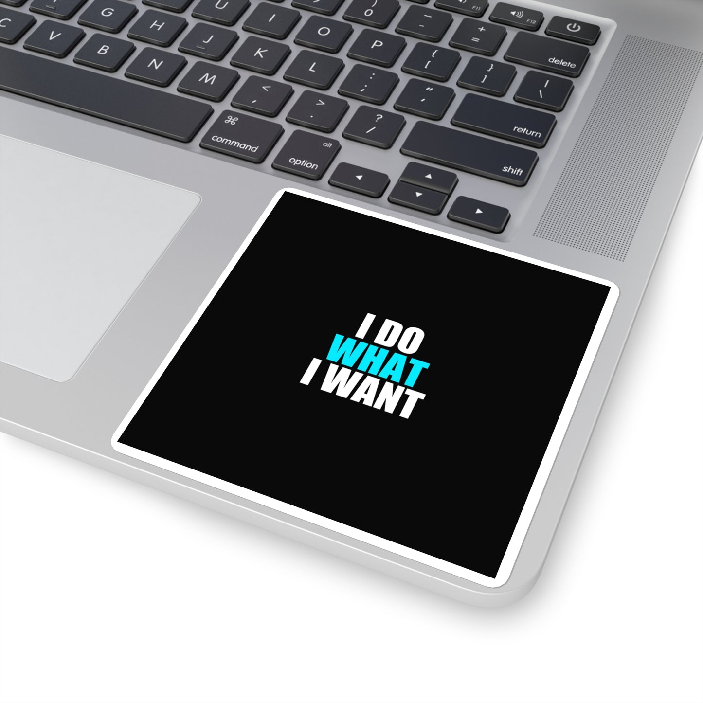 I Do What I Want Cat Sticker - dark humor sticker - back view | Stoney Tshirts