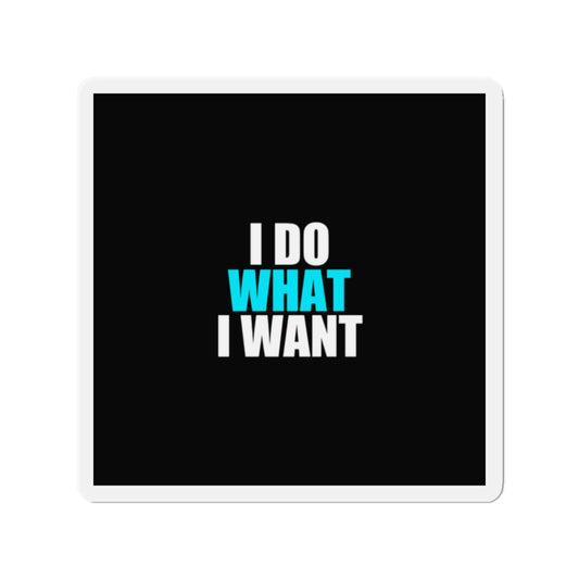 I Do What I Want Cat Magnet - dark humor fridge magnet - front view | Stoney Tshirts