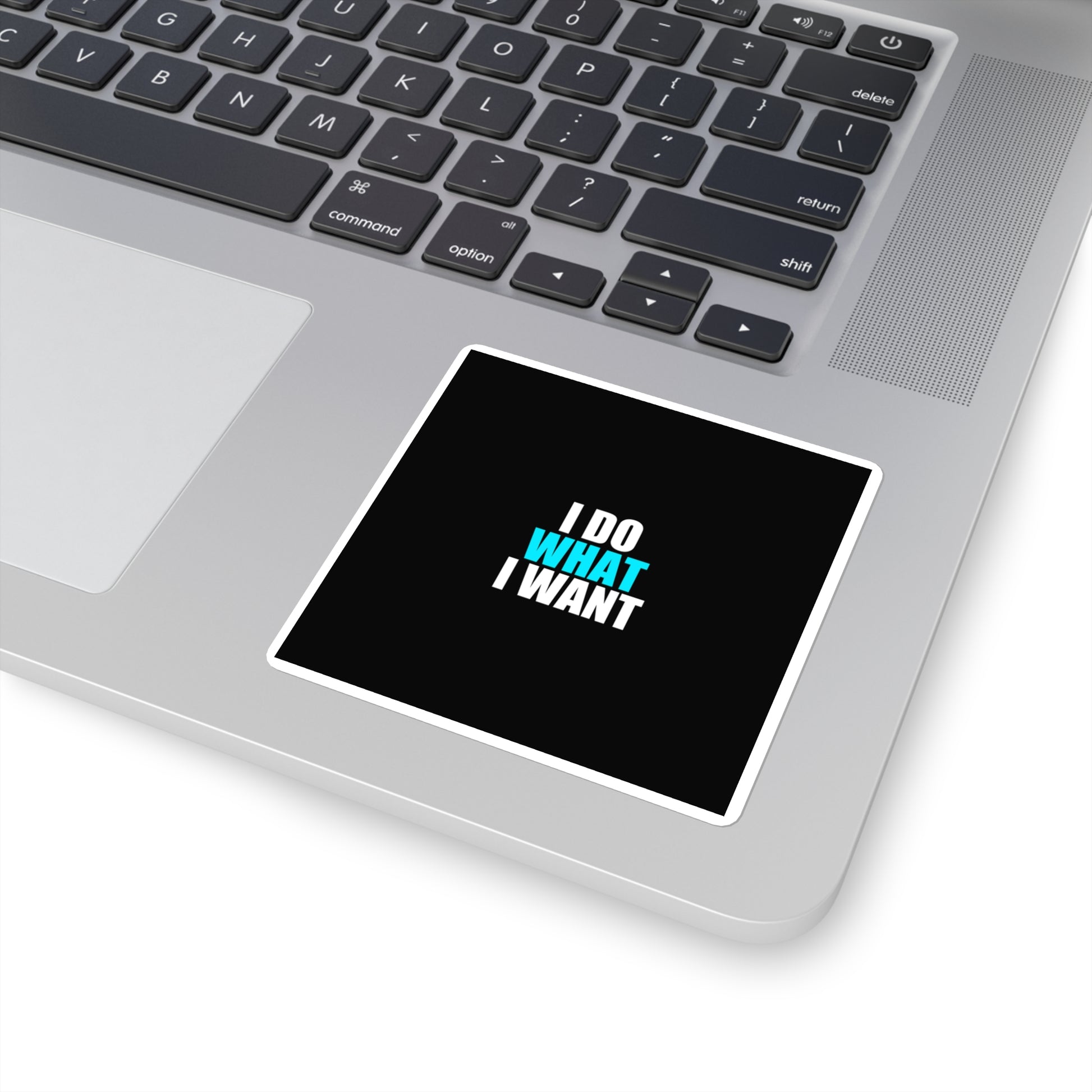 I Do What I Want Cat Sticker - dark humor sticker - size chart | Stoney Tshirts