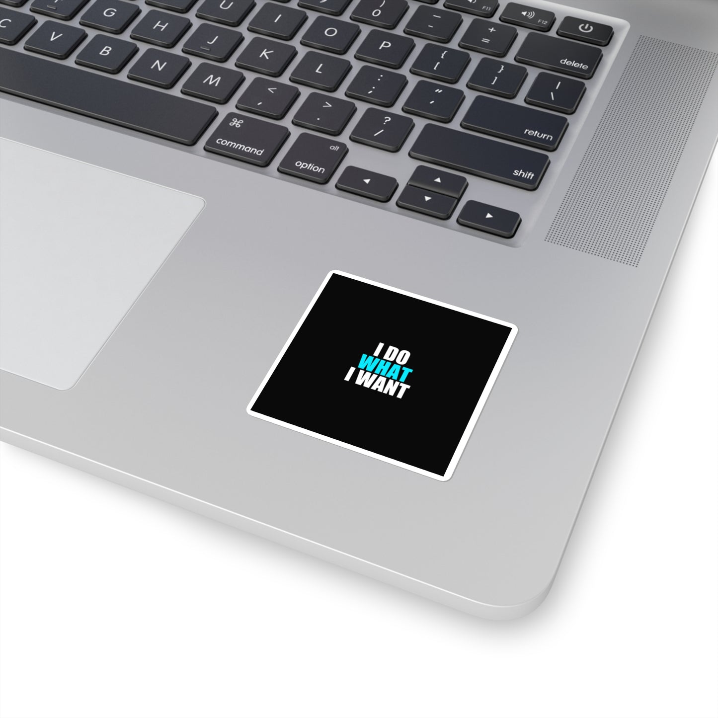I Do What I Want Cat Sticker - dark humor sticker - alternate angle | Stoney Tshirts