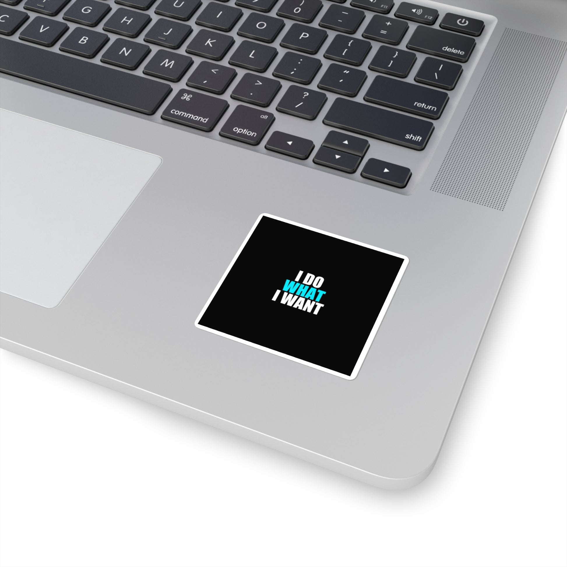 I Do What I Want Cat Sticker - dark humor sticker - alternate angle | Stoney Tshirts